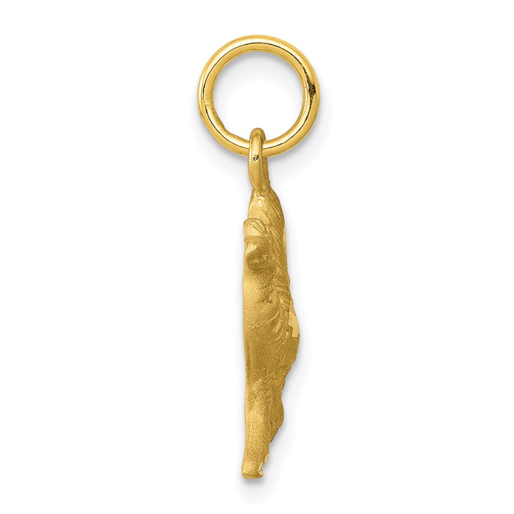 10k Yellow Gold 11 mm Camel Charm (0.96 grams)