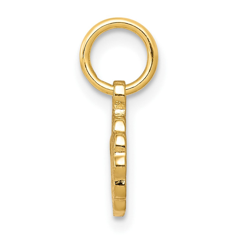 10k Yellow Gold 9 mm Solid Satin Polished Our Lady of Sorrows Disc Pendant (0.72 grams)