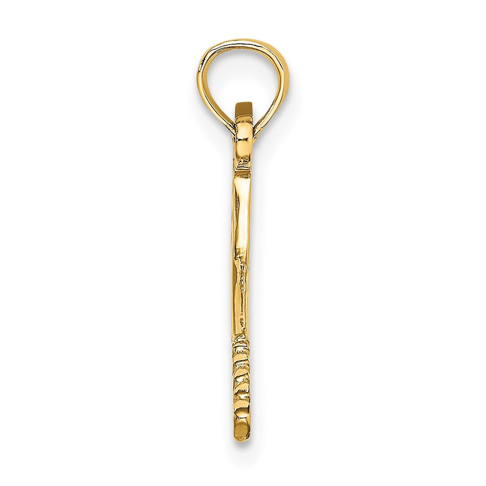 10k Yellow Gold 23.5 mm Solid Polished 3-D Tennis Racquet Charm (0.66 grams)