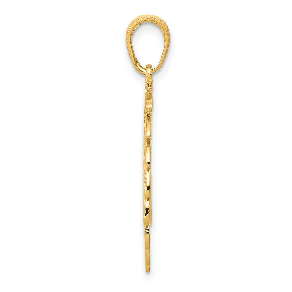 10k Yellow Gold 16.75 mm Headdress Profile Pendant (0.86 grams)