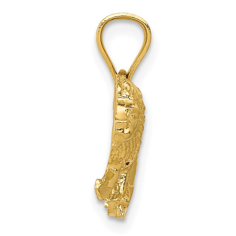 10k Yellow Gold 20 mm Diamond-cut Lion Pendant (1.02 grams)