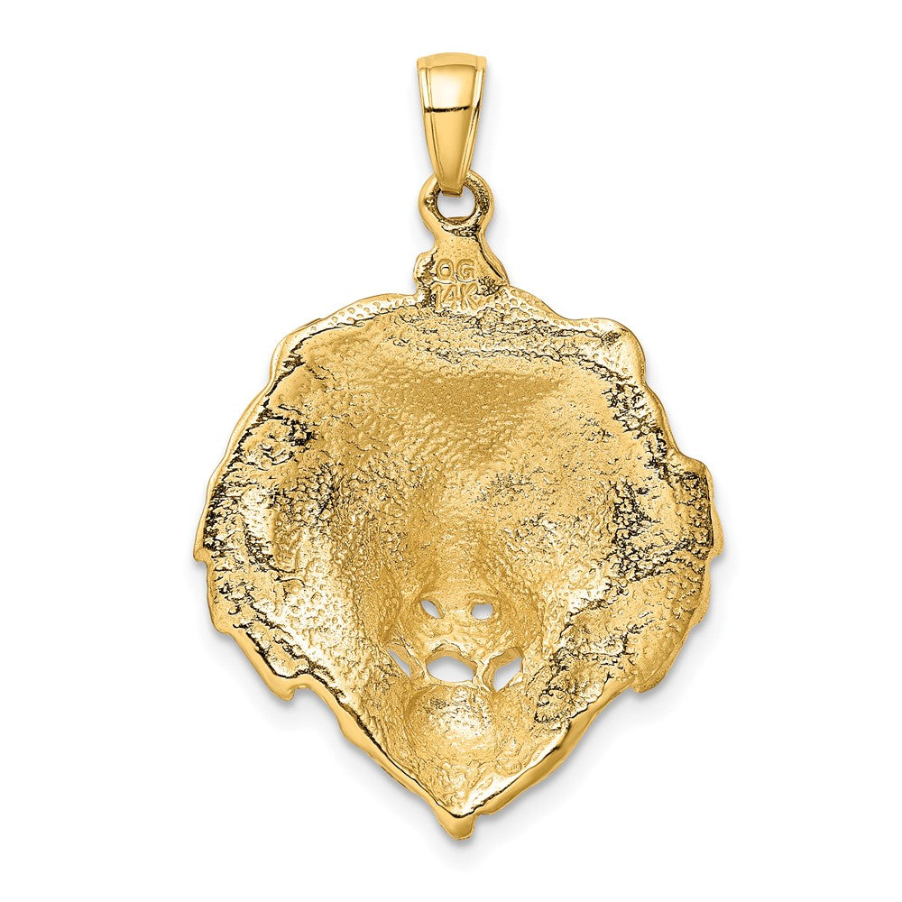 10k Yellow Gold 25 mm Lion Charm (6.09 grams)