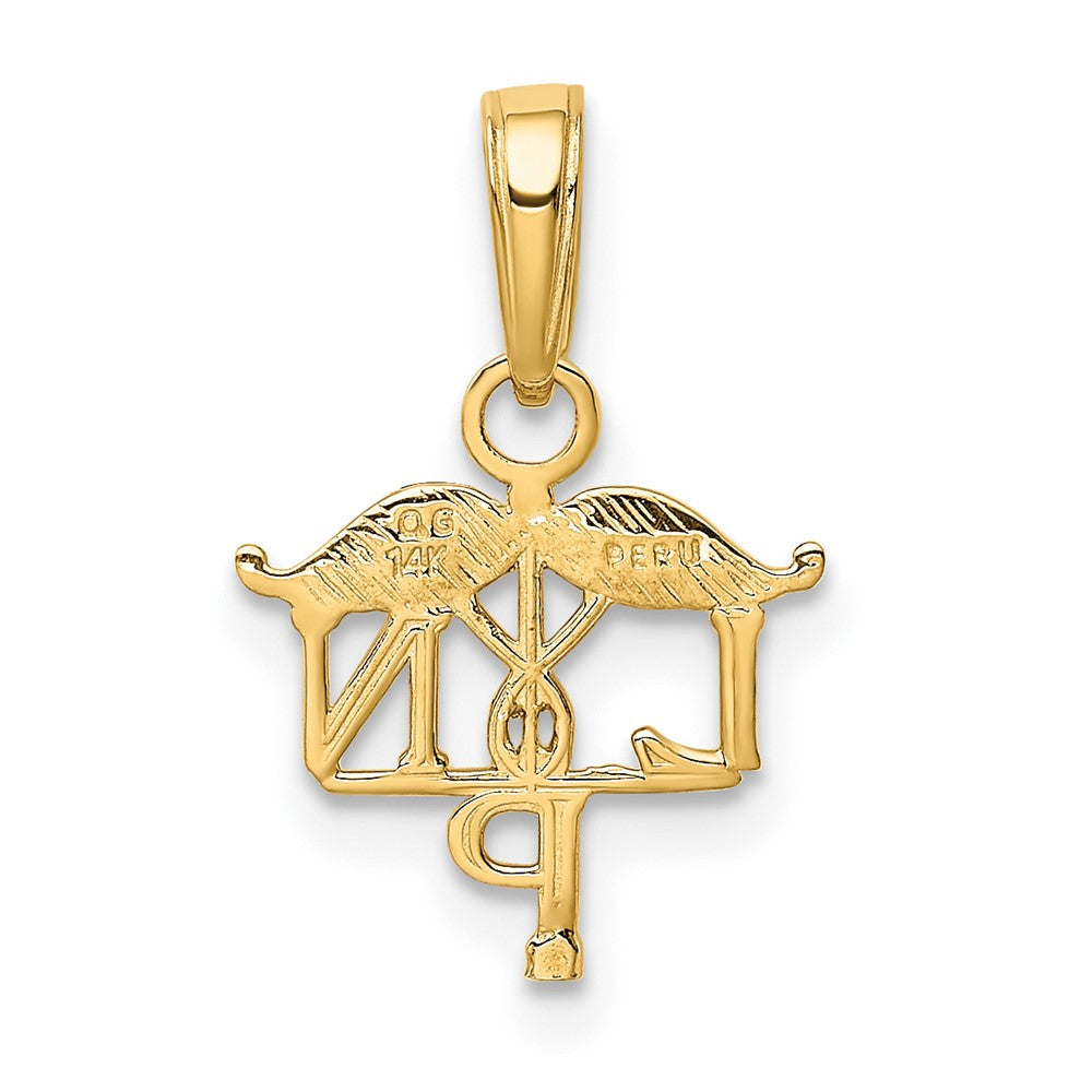 10k Yellow Gold 13 mm LPN Symbol Pendant (0.44 grams)