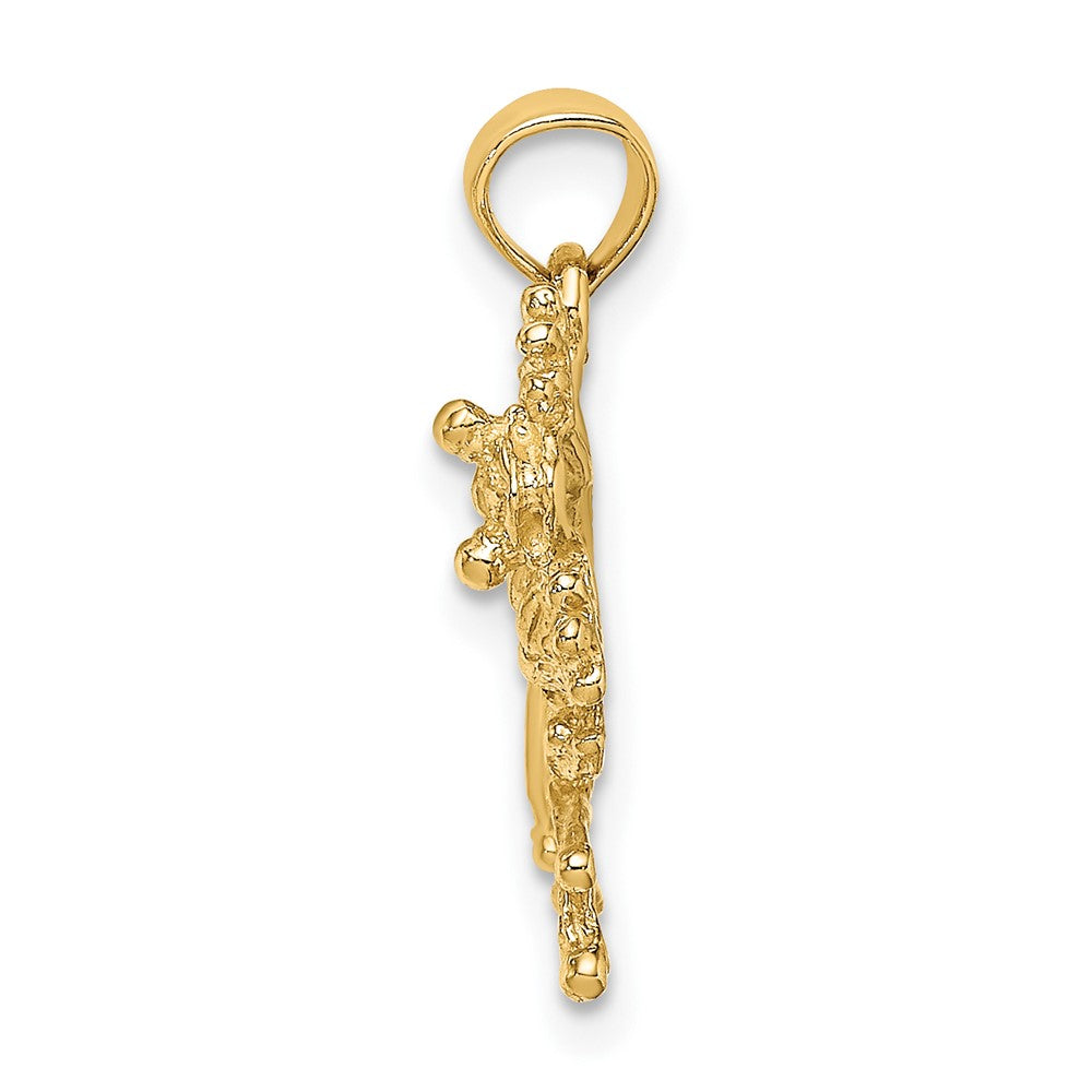 10k Yellow Gold 23.6 mm 2-D Textured Frog Charm (1.11 grams)