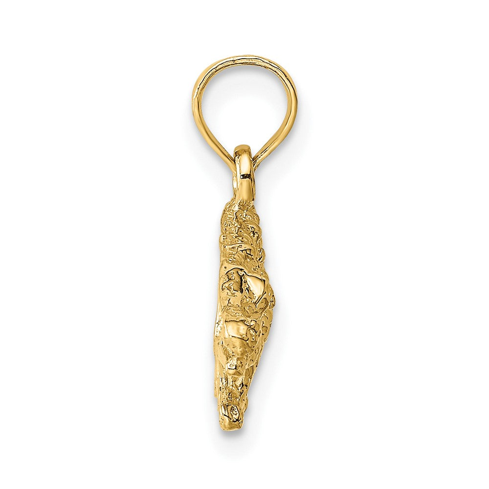 10k Yellow Gold 26.25 mm 2-D Textured Alligator Charm (1.85 grams)