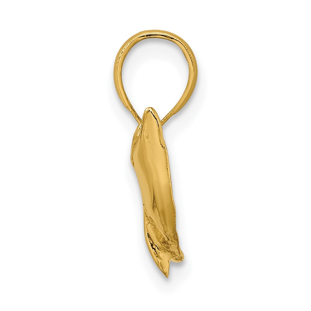 10k Yellow Gold 17 mm Textured Dolphin Jumping Charm (0.84 grams)