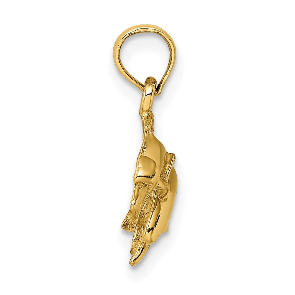 10k Yellow Gold 19.5 mm Polished Double Dolphins Jumping Charm (1.31 grams)