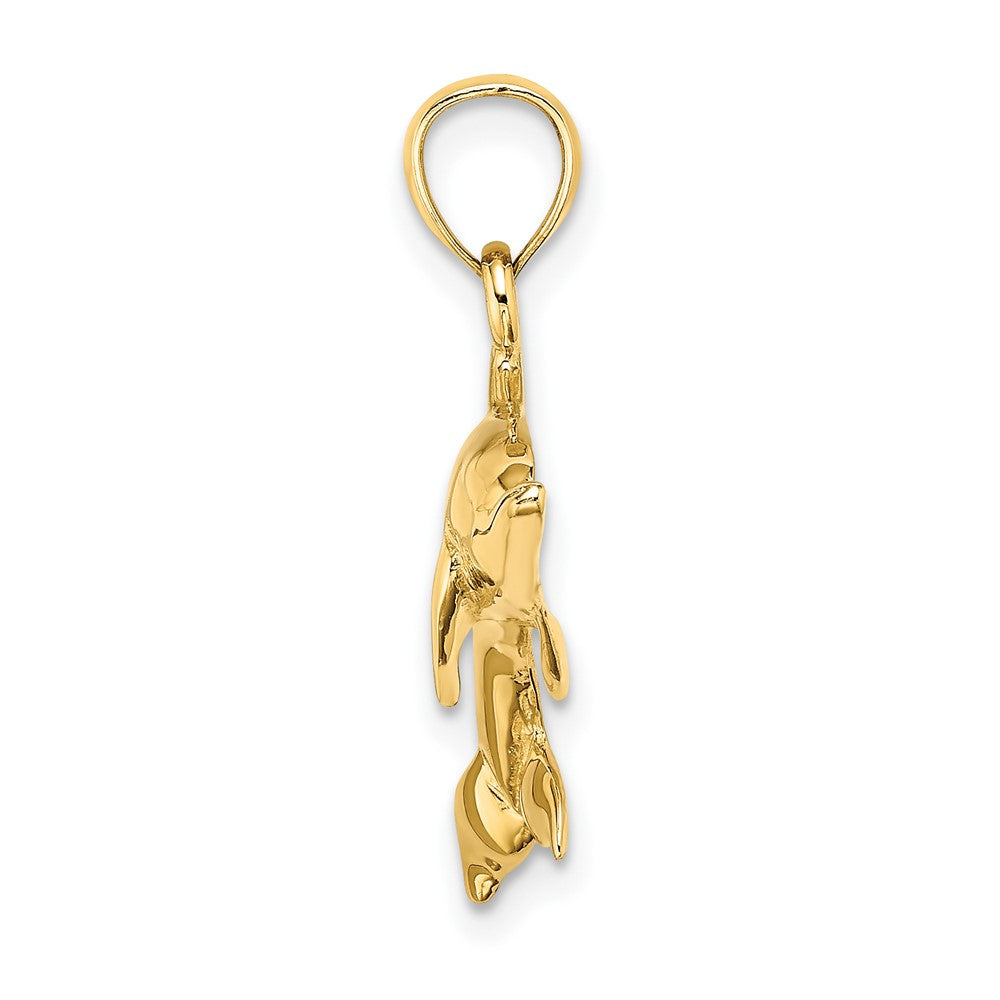 10k Yellow Gold 29.7 mm ng Dolphin Charm (2.22 grams)