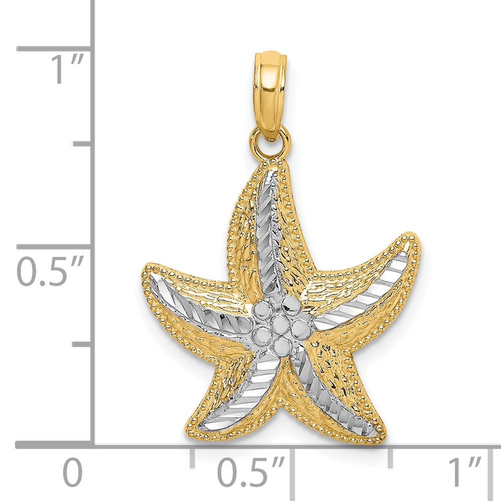 10k Yellow w/Rhodium 18.8 mm  D/C Small Starfish Charm (1.53 grams)