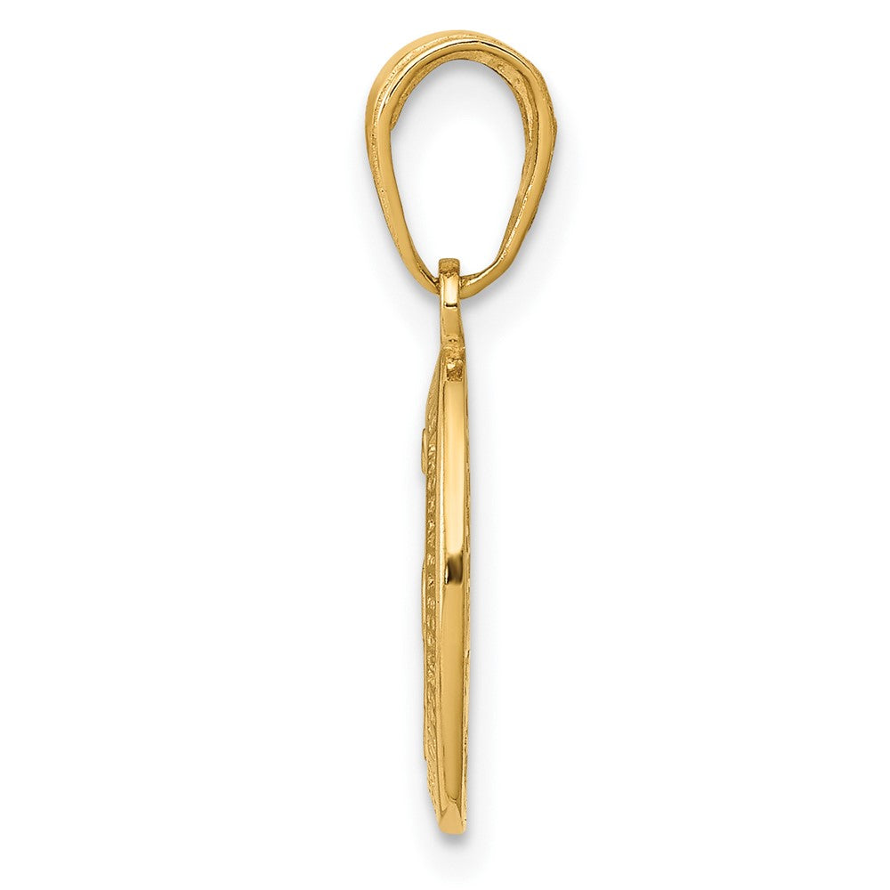 10k Yellow Gold 8 mm Miraculous Medal Charm (0.91 grams)