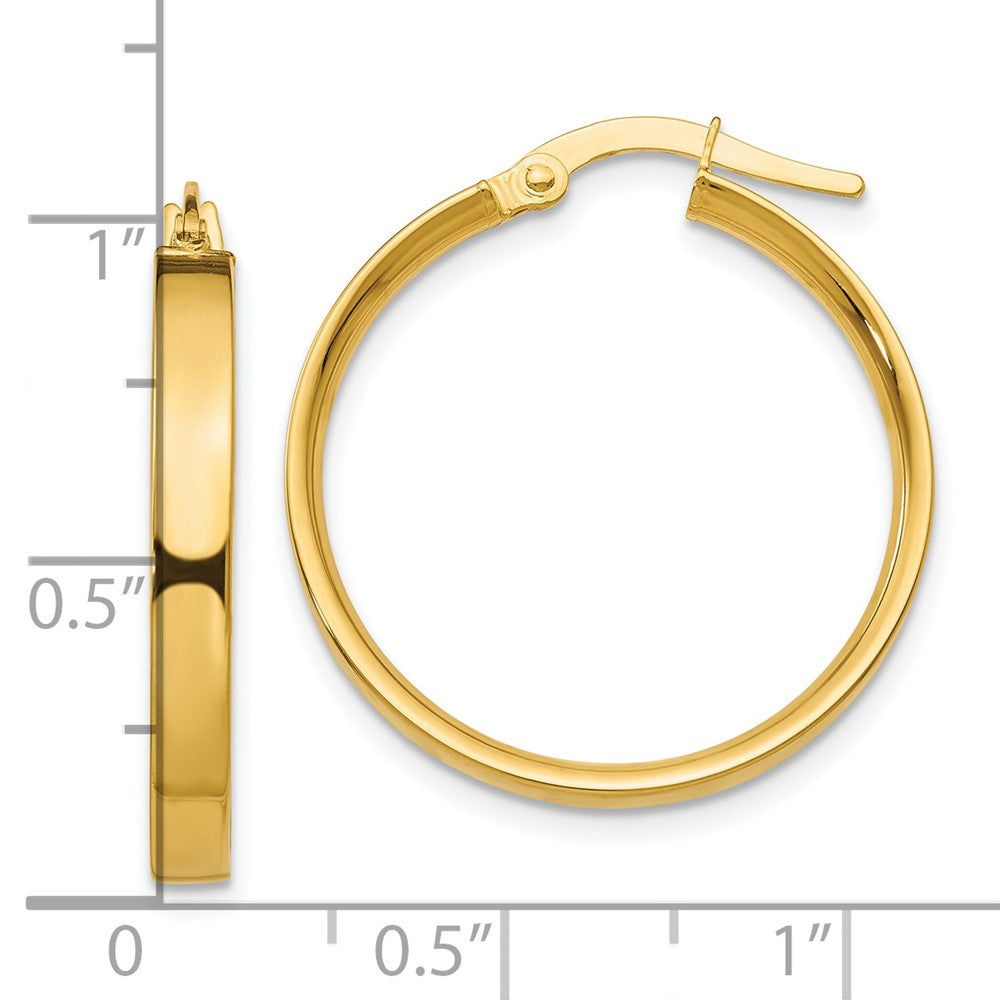 10k Yellow Gold 25 mm Medium Hoop Earrings