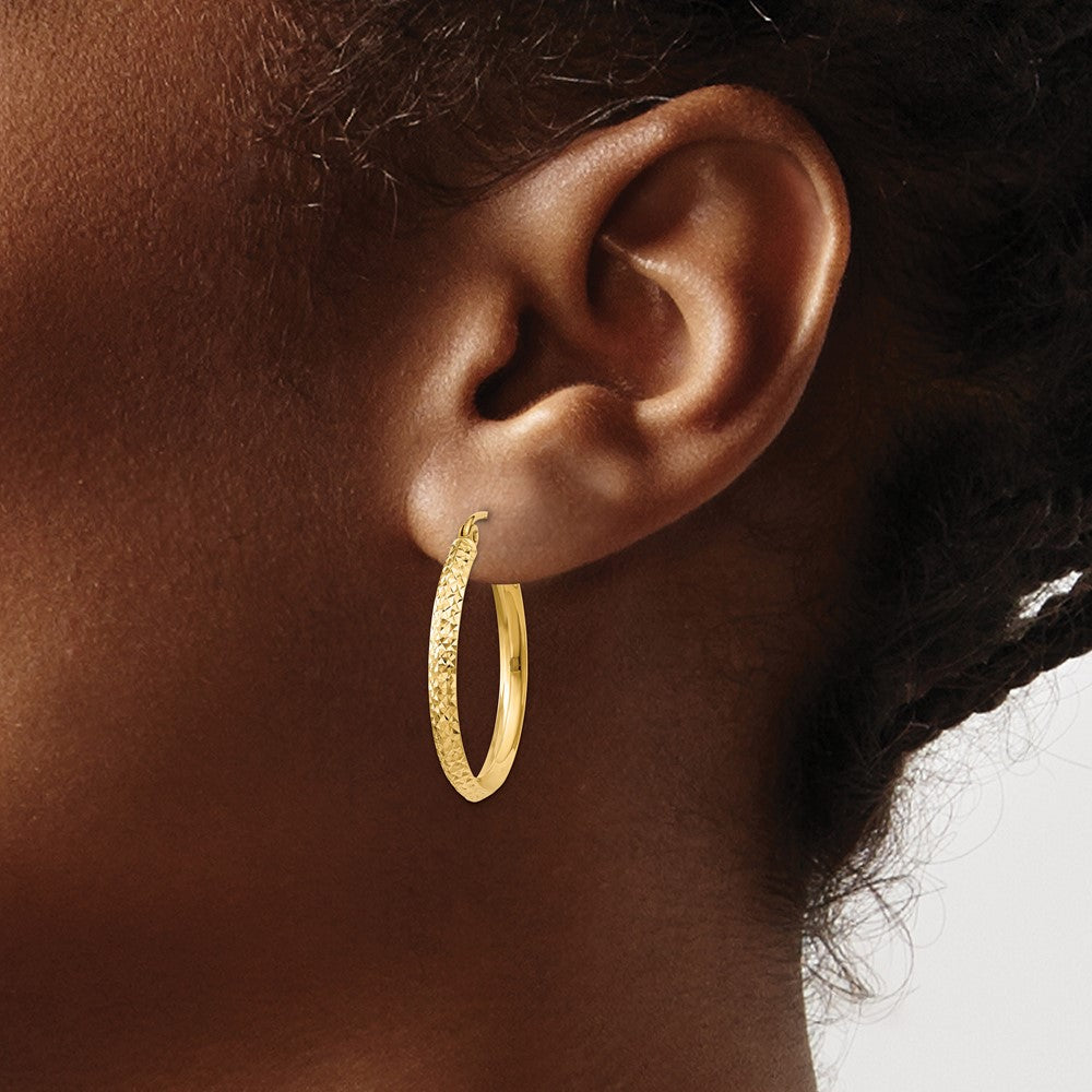 10k Yellow Gold 2.5 mm Hollow Hoop Earrings (1.6 grams)