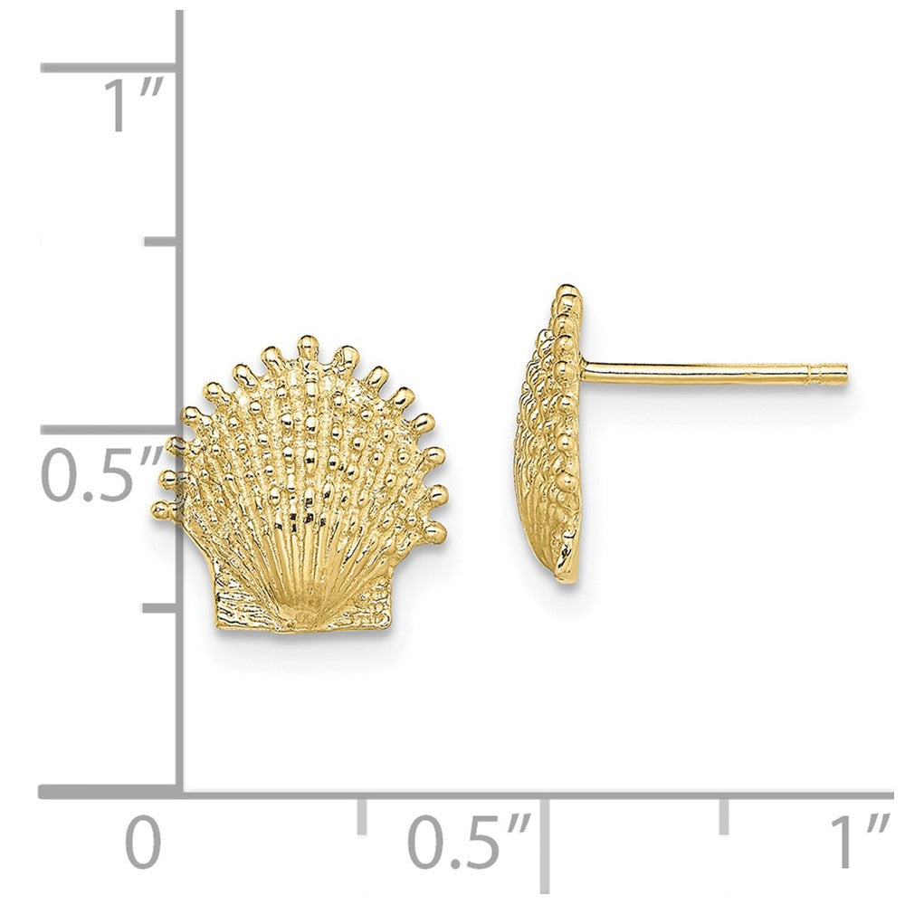 10k Yellow Gold 10.4 mm Beaded Scallop Shell Post Earrings (1.41 grams)