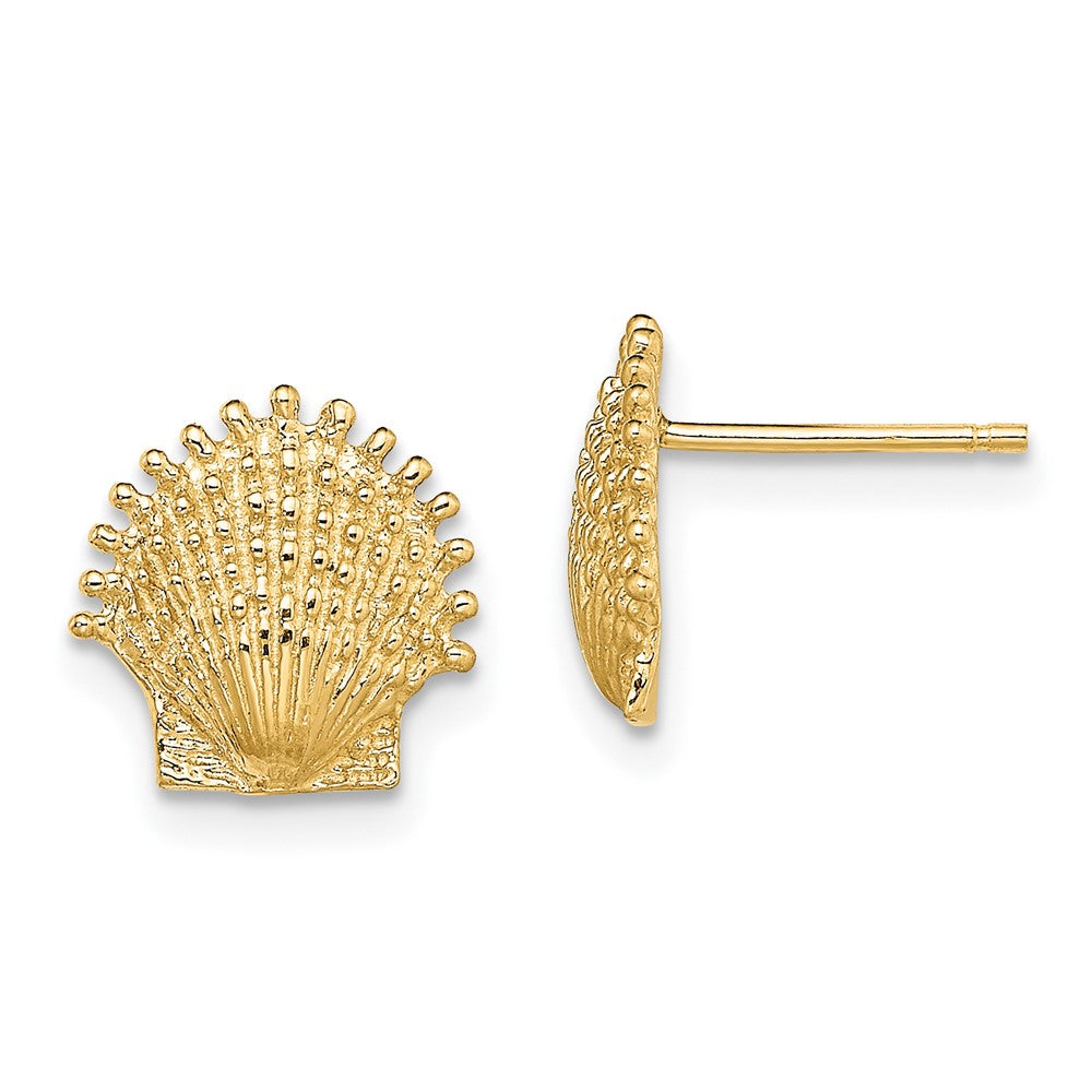 10k Yellow Gold 10.4 mm Beaded Scallop Shell Post Earrings (1.41 grams)