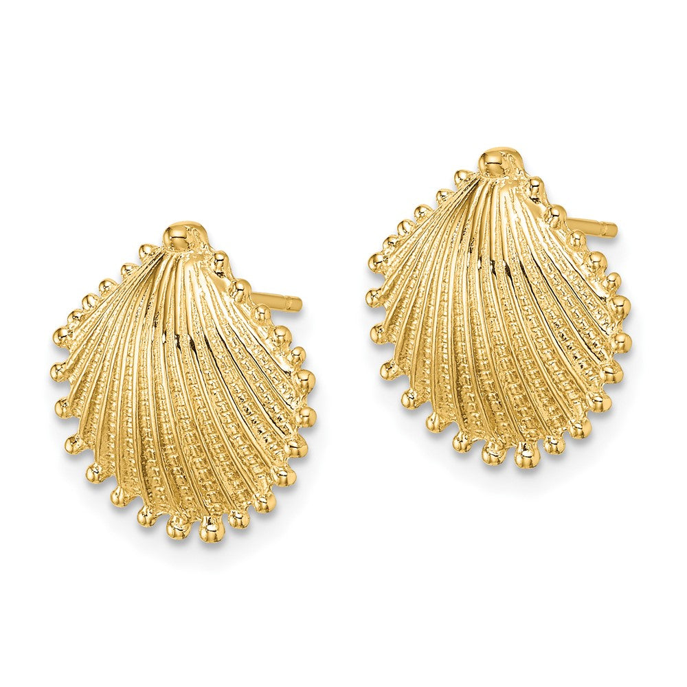 10k Yellow Gold 14.33 mm Scallop Shell Post Earrings (2.37 grams)