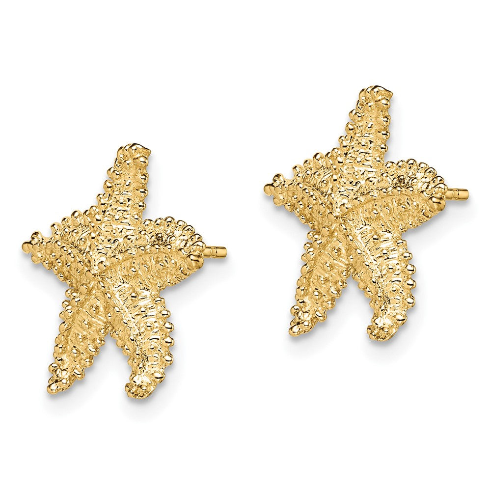 10k Yellow Gold 15.09 mm Textured Beaded Starfish Post Earrings