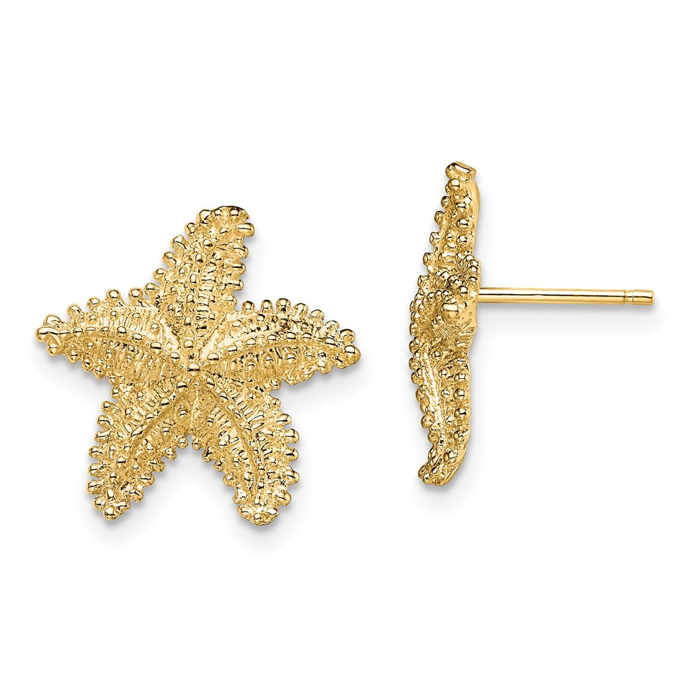10k Yellow Gold 15.09 mm Textured Beaded Starfish Post Earrings