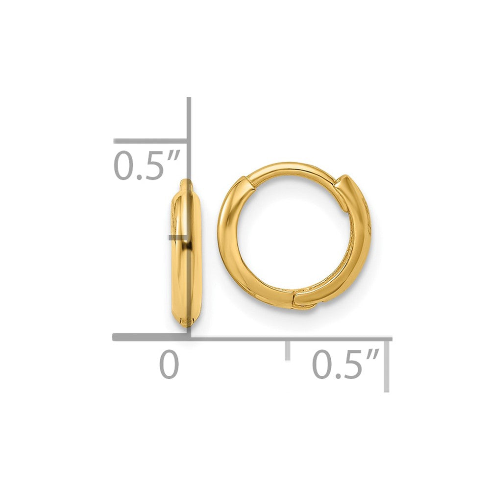 10k Yellow Gold 10.35 mm Polished Hinged Hoop Earrings (0.67 grams)