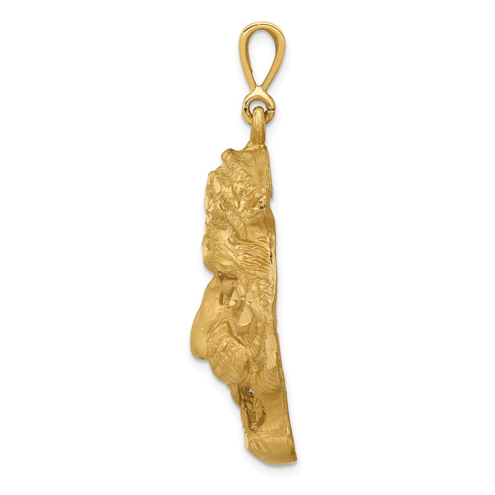 10k Yellow Gold 31 mm Tigers Head Pendant (8.4 grams)