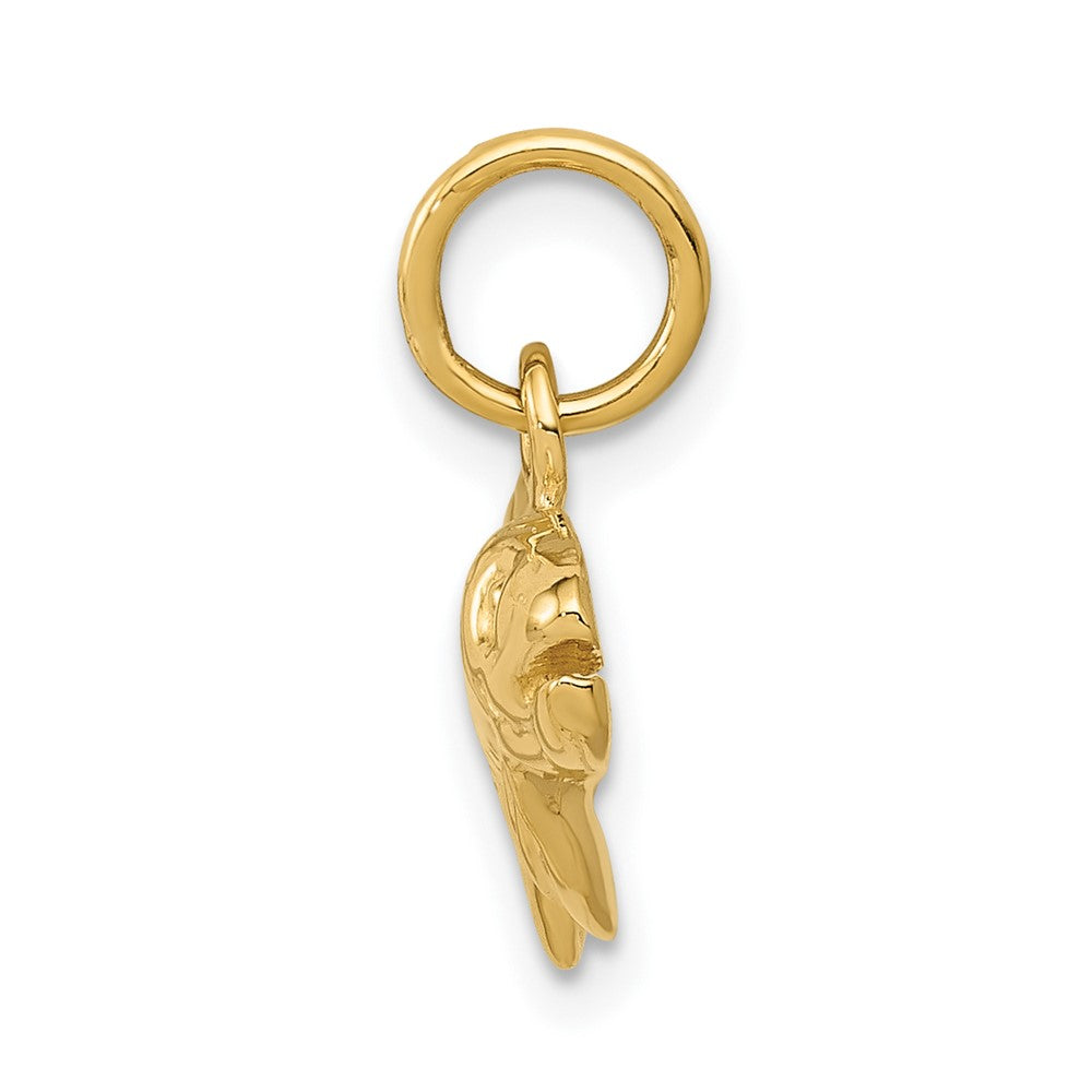 10k Yellow Gold 24 mm Fish Charm (1.47 grams)