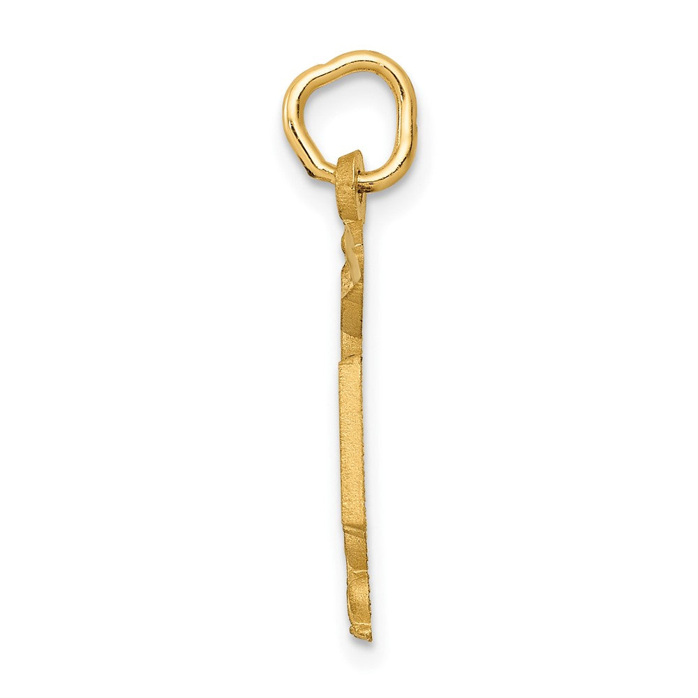 10k Yellow Gold 15 mm Nurse Charm (0.99 grams)