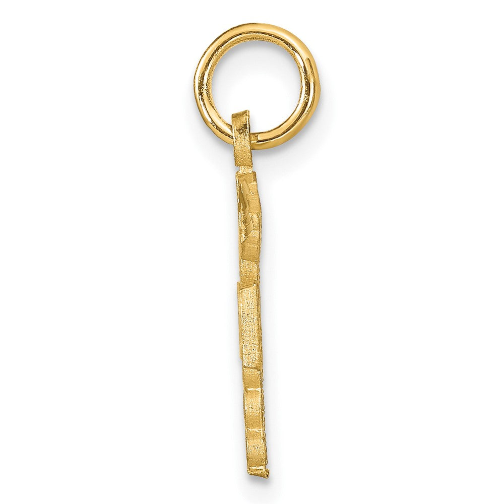 10k Yellow Gold 12 mm Nurse Charm (0.74 grams)