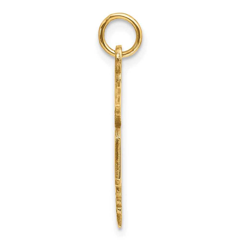 14k Yellow Gold 23 mm Large M.D. Caduceus Charm (1.91 grams)