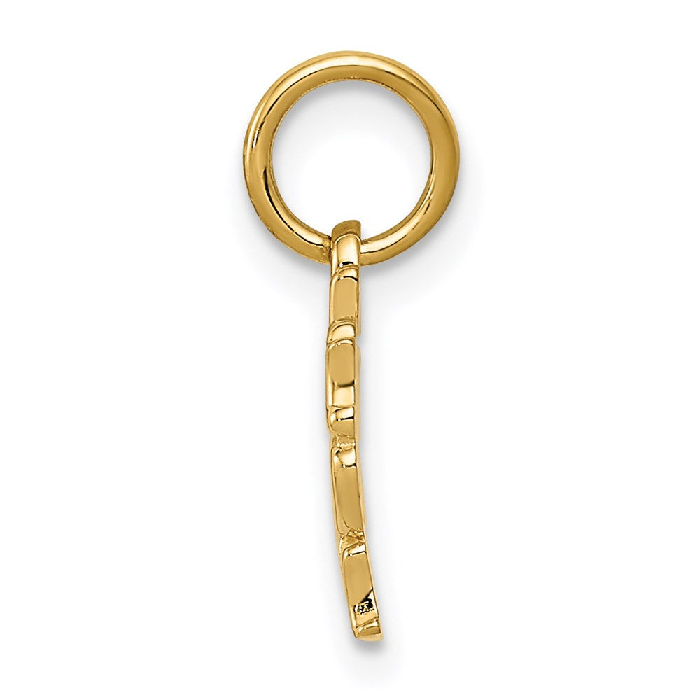 14k Yellow Gold 17 mm TOGETHER FOREVER Charm (0.94 grams)