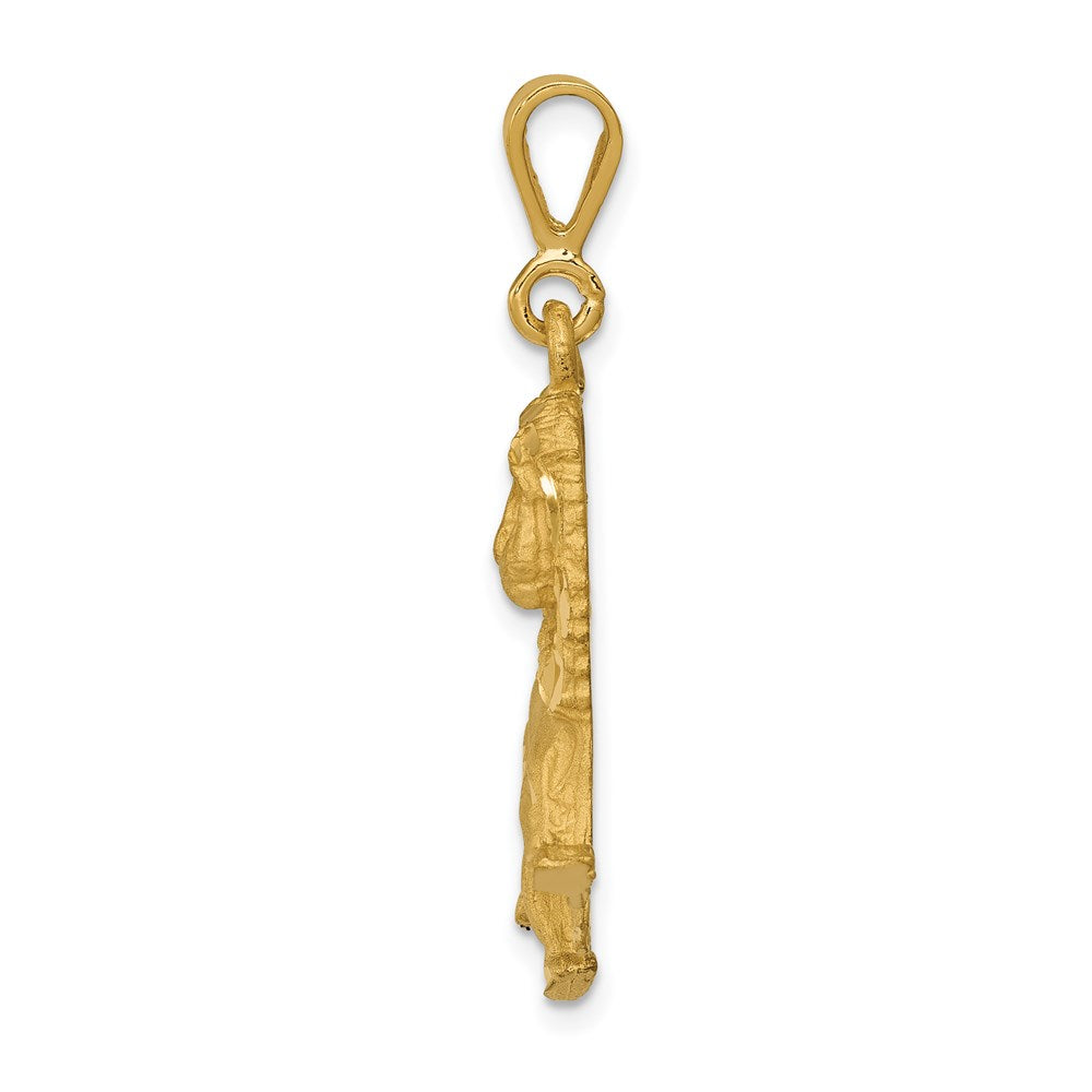 14k Yellow Gold 21 mm Lion Charm (3.3 grams)