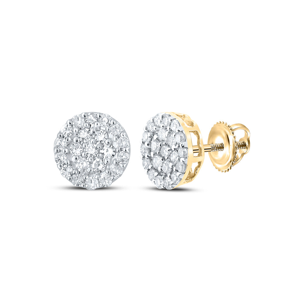 10Kt Yellow Gold 1/4Ctw-Dia Nk Round Earring (0.91 grams)