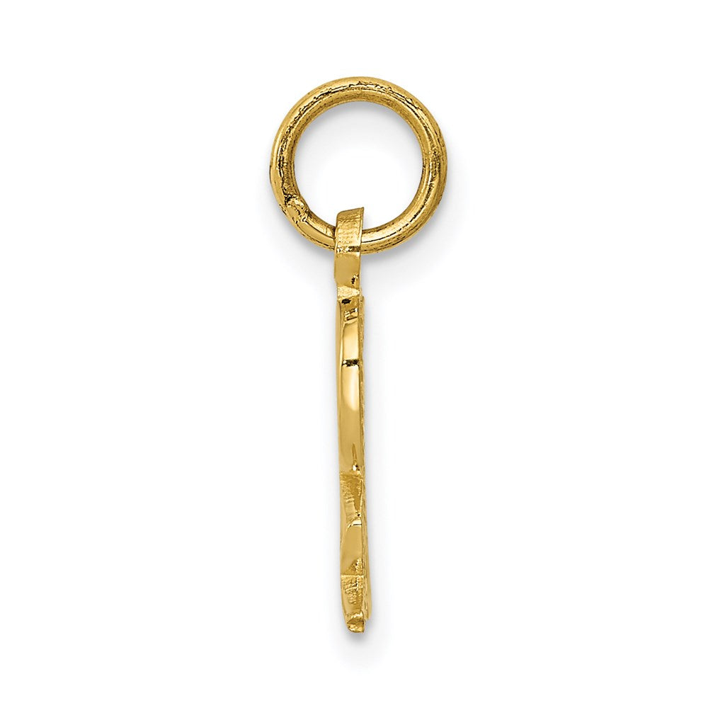 14k Yellow Gold 10 mm Prescription Symbol RX Charm (0.63 grams)