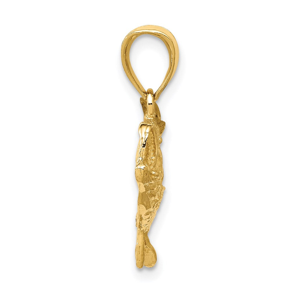 14k Yellow Gold 27 mm Polished Open-Backed Bass Fish Pendant (3.25 grams)