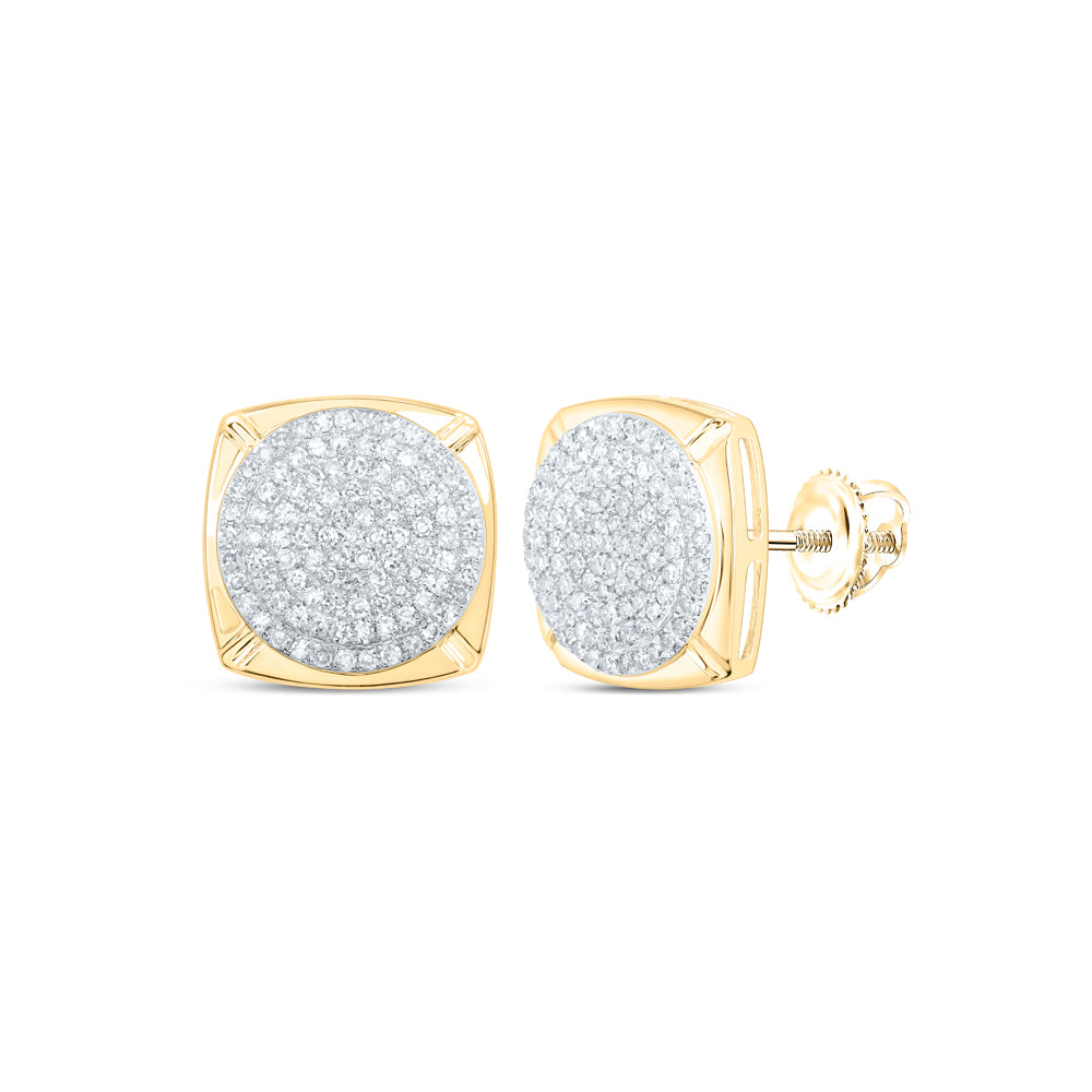 10Kt Yellow Gold 7/8Ctw-Dia Nk Earring (3.01 grams)