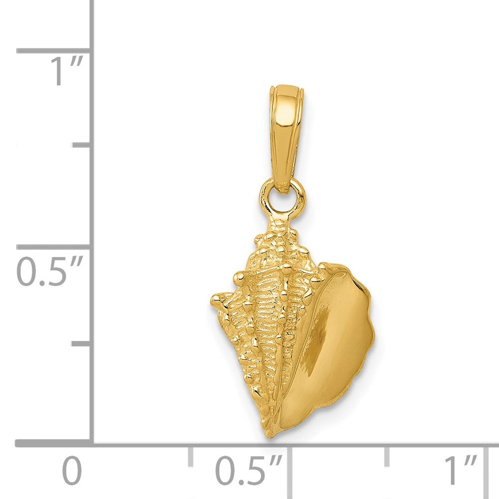 14k Yellow Gold 10 mm Solid Polished Conch Shell Pendant (1.36 grams)