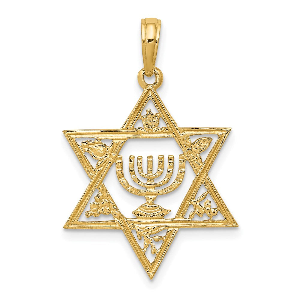 14k Yellow Gold 18 mm Star of David w/Menorah Pendant