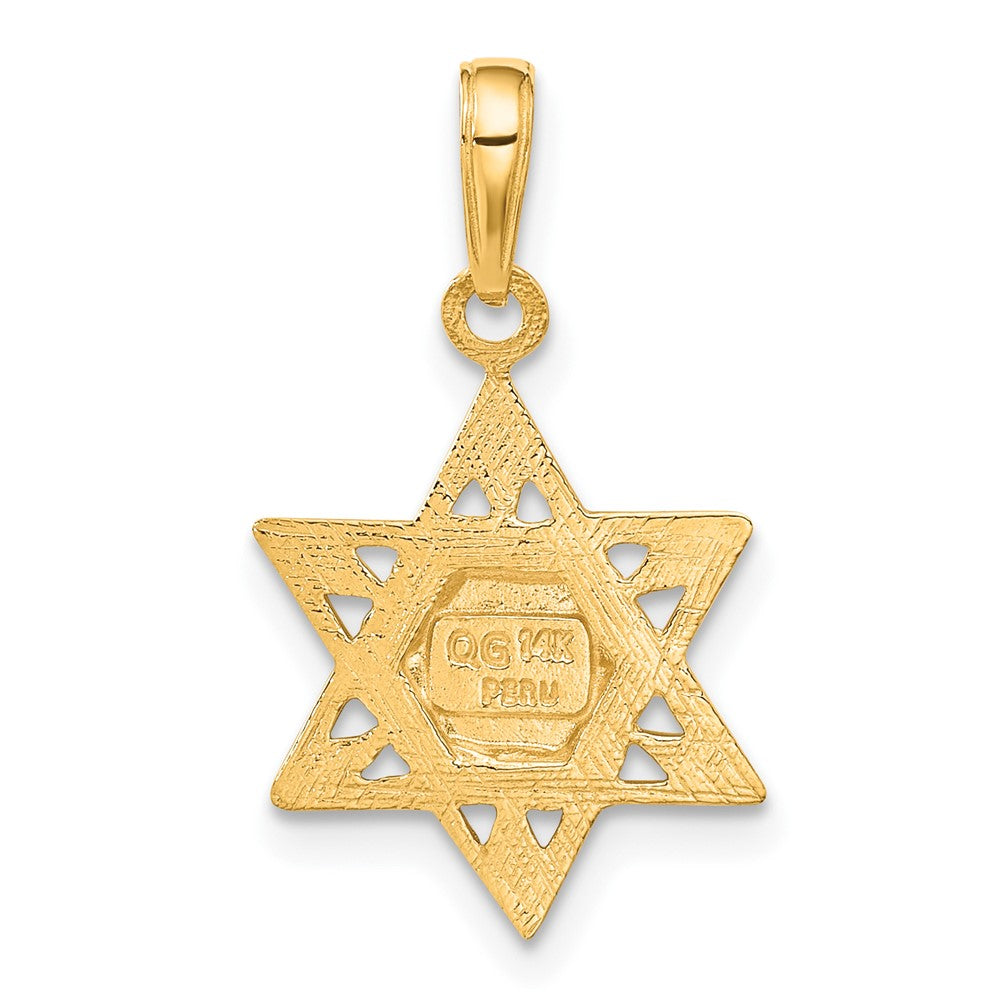 14k Yellow Gold 15 mm Star of David w/Tablets in Center Pendant (1.06 grams)