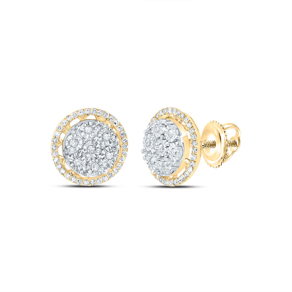 1/3Ctw-Nat Dia P1 Gift Round Stud Earring