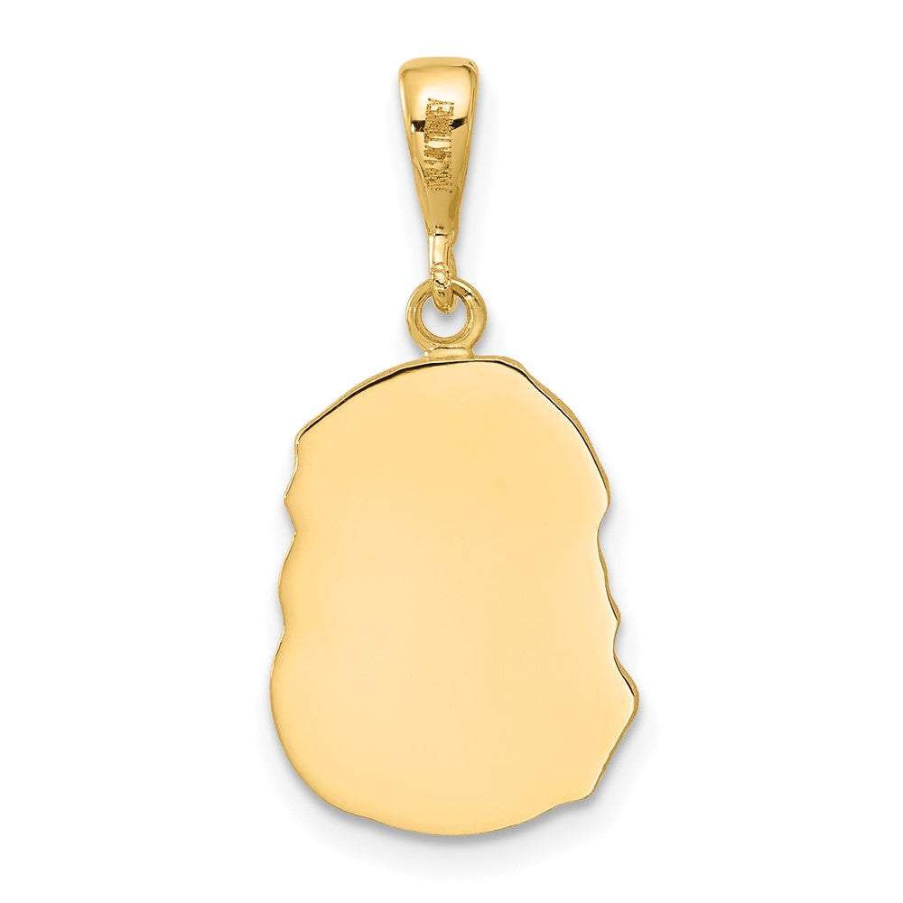 14k Yellow Gold 12.6 mm Satin and Diamond-cut Jesus Medal Pendant (2.3 grams)