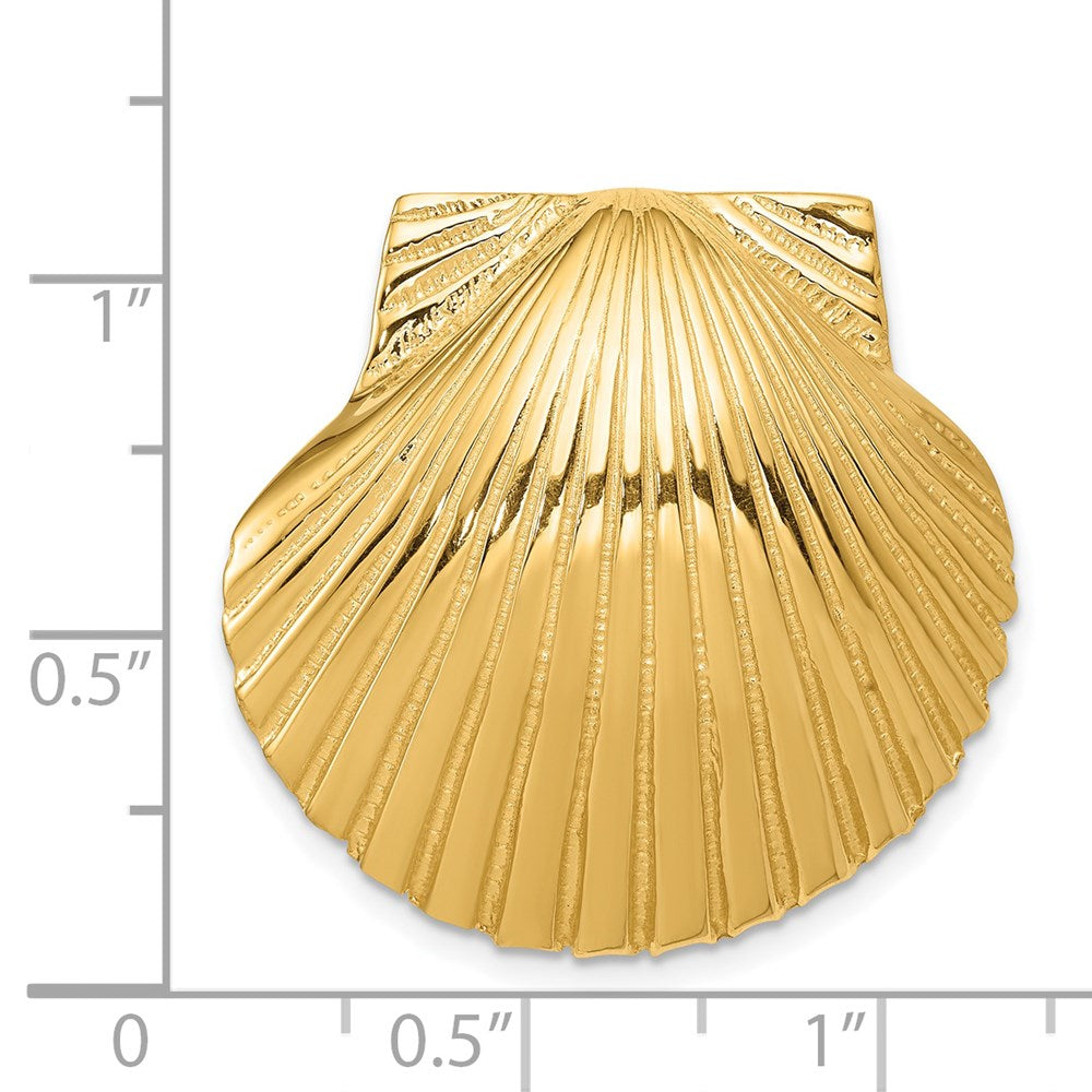 14k Yellow Gold 27 mm Medium Scallop Shell Slide (9.64 grams)