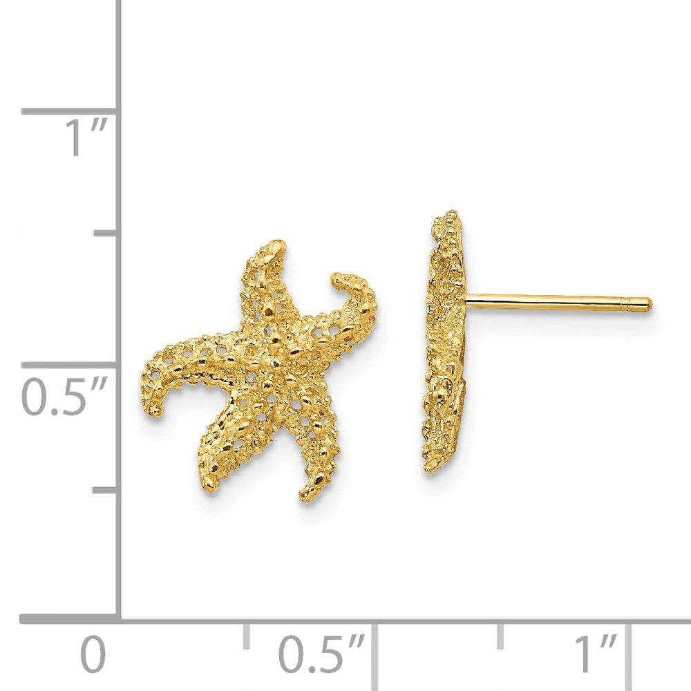 14k Yellow Gold 11 mm Starfish Earrings (1.53 grams)