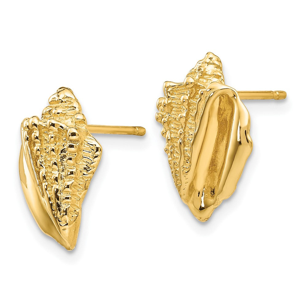 14k Yellow Gold 10 mm Conch Shell Earrings (2.59 grams)