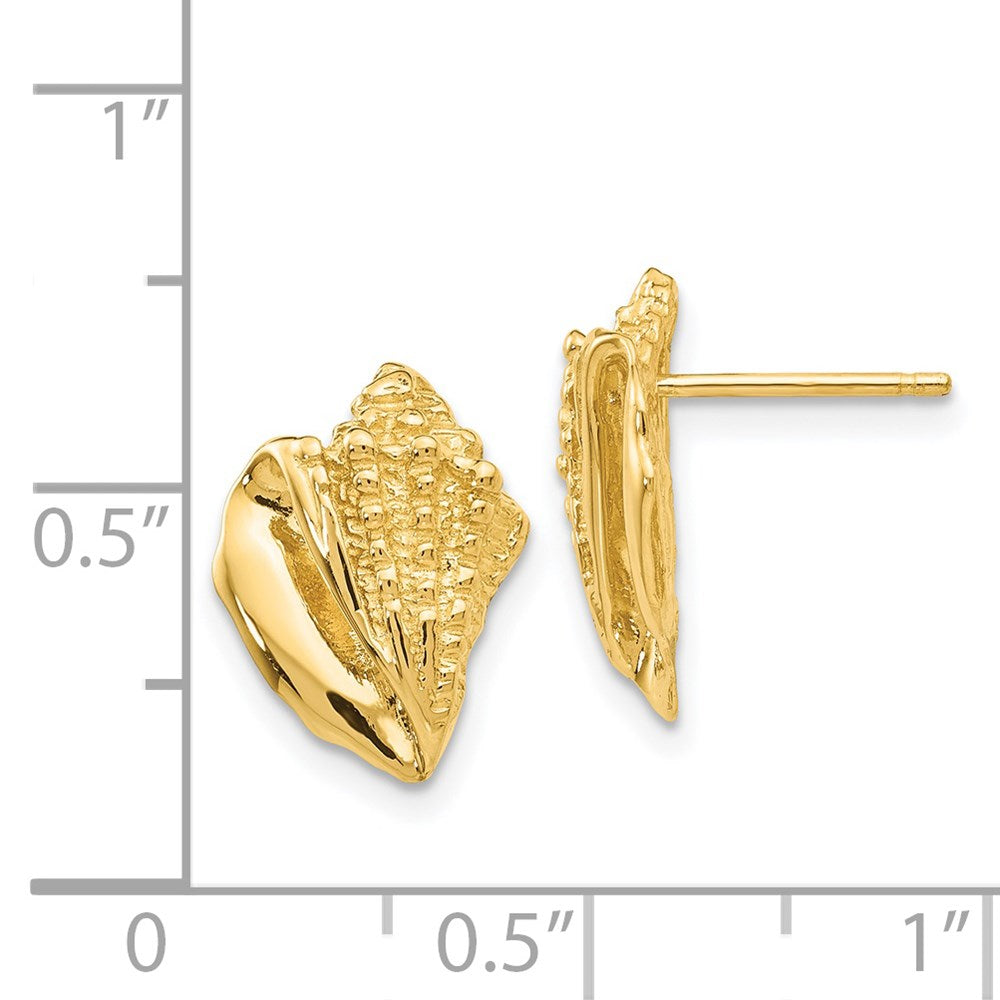 14k Yellow Gold 10 mm Conch Shell Earrings (2.59 grams)