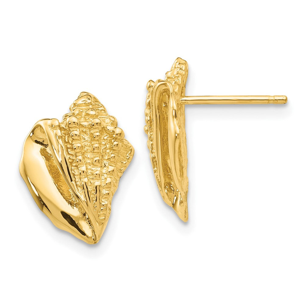 14k Yellow Gold 10 mm Conch Shell Earrings (2.59 grams)