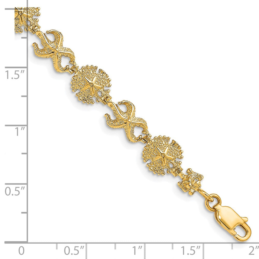 14k Yellow Gold 8.35 mm Starfish /Sand Dollar Bracelet (7.9 grams)