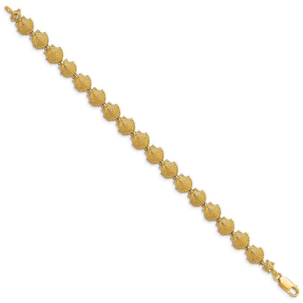 14k Yellow Gold 8.1 mm Scallop Shell Bracelet (7.73 grams)