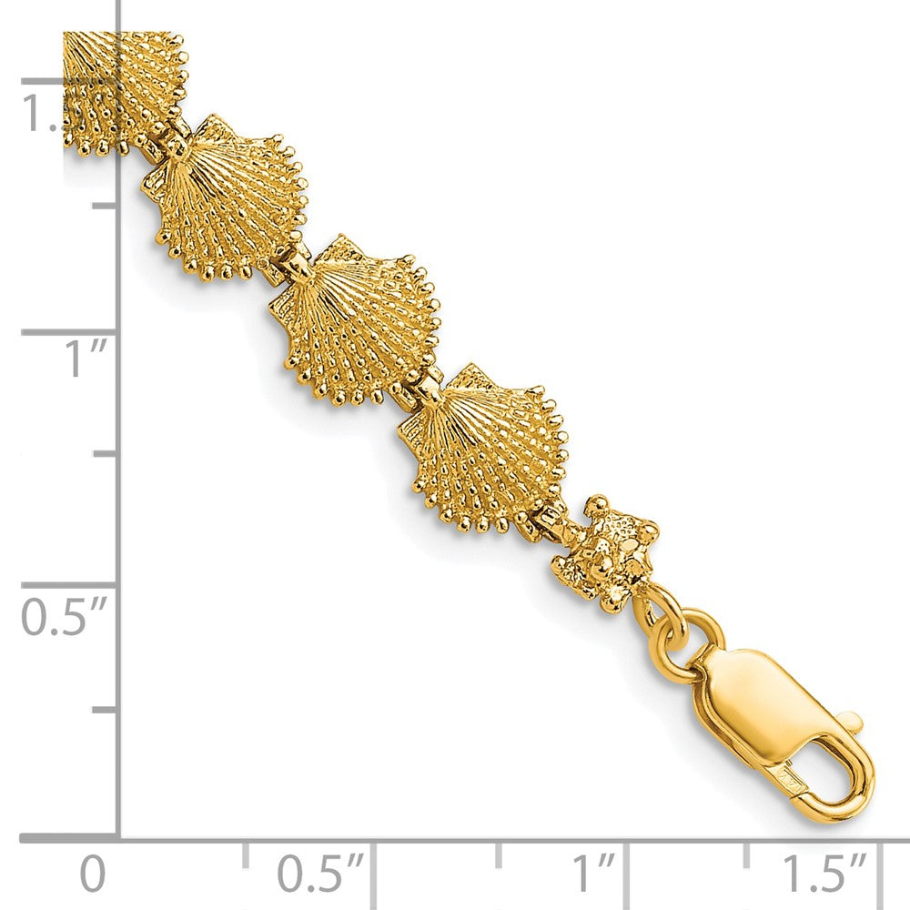 14k Yellow Gold 8.1 mm Scallop Shell Bracelet (7.73 grams)