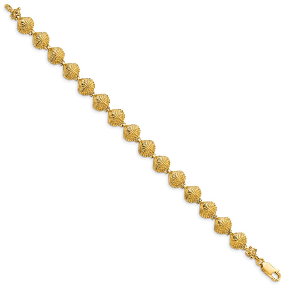 14k Yellow Gold 8.1 mm Scallop Shell Bracelet (8.87 grams)