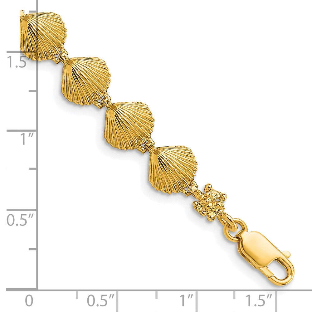 14k Yellow Gold 8.1 mm Scallop Shell Bracelet (8.87 grams)