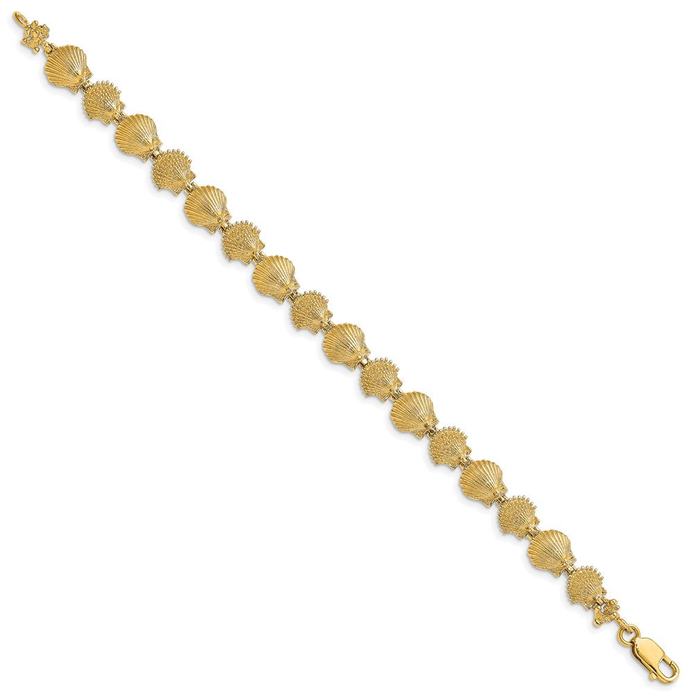 14k Yellow Gold 8.14 mm Polished /Textured Scallop Shell Bracelet (8.45 grams)