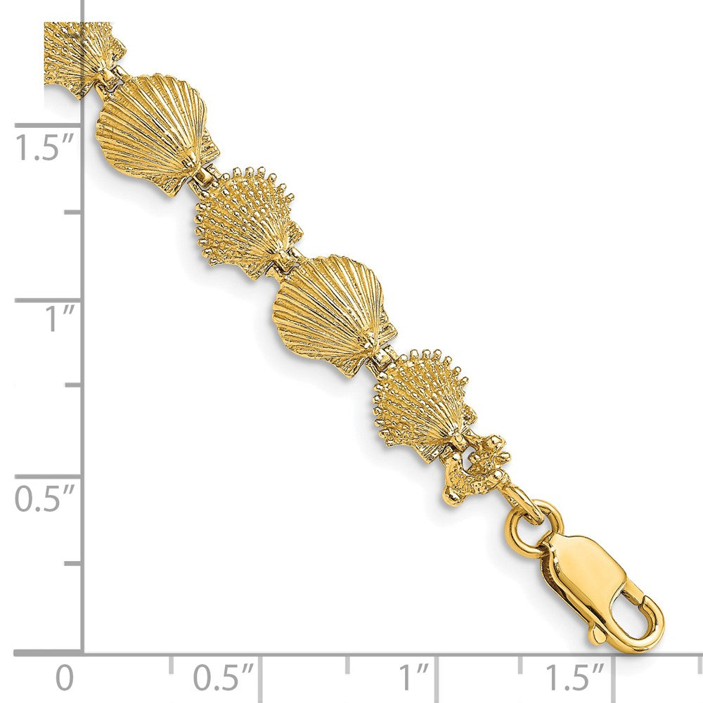 14k Yellow Gold 8.14 mm Polished /Textured Scallop Shell Bracelet (8.45 grams)